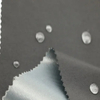 Nylon Taslon Fabric with Transparent TPU - Waterproof & Fire Resistant for Outdoor Jackets