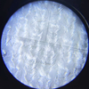 Knitted PLA Pique Fabric - ECO Friendly, Anti-bacterial, Biodegradable for Polo, T-shirt, Sportswear